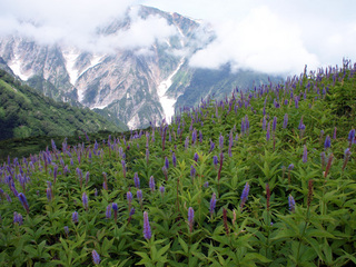 201408131.jpg