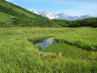 201408136.jpg