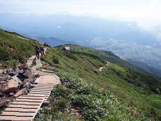 201408137.jpg