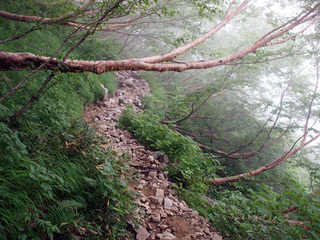 201408138.jpg