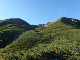 20140914-5.jpg