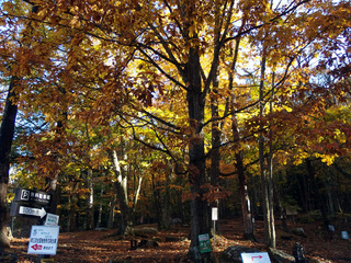 20141024-1.jpg