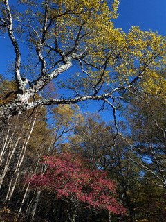 20141024-2.jpg