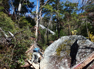 20141024-5.jpg