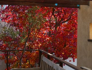 20141107.jpg
