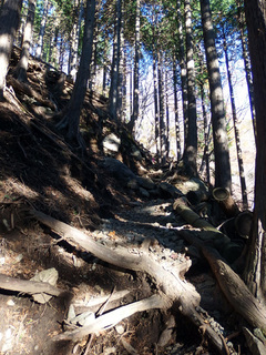 20141209-2.jpg
