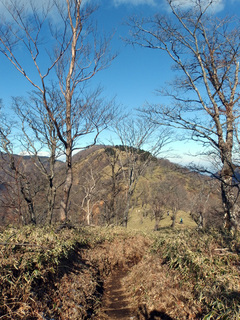 20141209-7.jpg