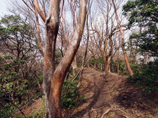 201504184.jpg