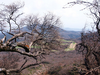 201504185.jpg