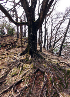 201504187.jpg