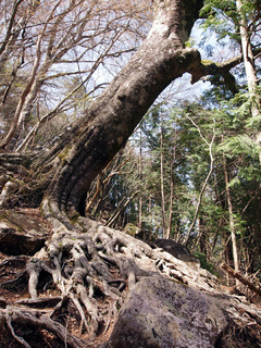 201504189.jpg