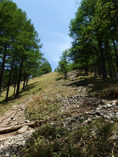 20150527-12.jpg