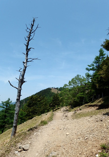 20150527-13.jpg