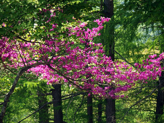 20150527-18.jpg