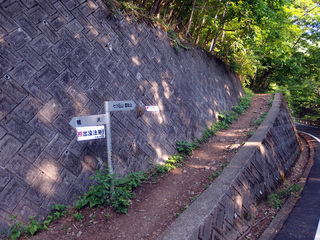 20150527-2.jpg