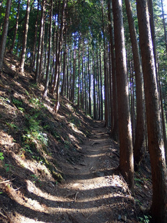 20150527-3.jpg