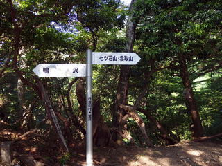 20150527-4.jpg