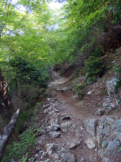 20150527-5.jpg