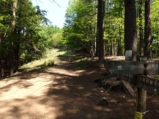 20150527-8.jpg