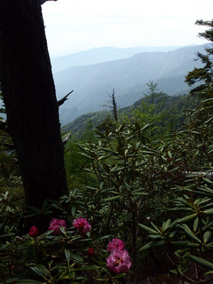 20150602-11.jpg
