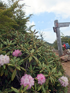 20150602-13.jpg