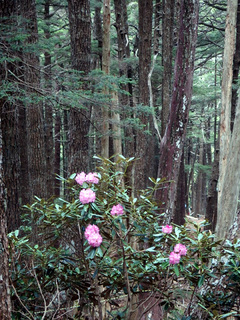 20150602-15.jpg