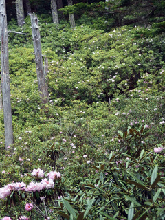 20150602-16.jpg