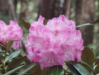 20150602-17.jpg