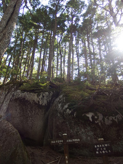 20150602-9.jpg