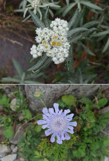 20150823-10.jpg