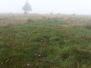 20150823-2.jpg