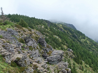 20150823-6.jpg