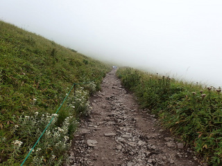 20150823-7.jpg