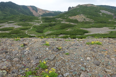 DSC00079.jpg