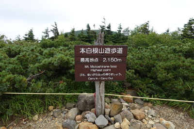 DSC00081.jpg
