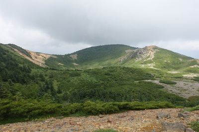 DSC00084.jpg