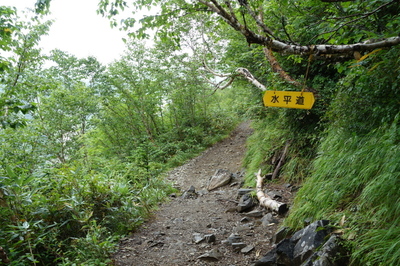 DSC00182.jpg