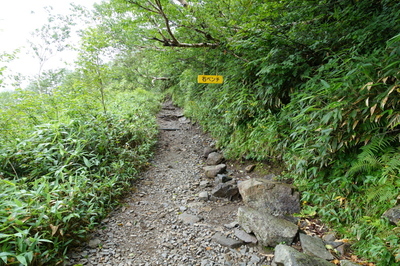 DSC00186.jpg