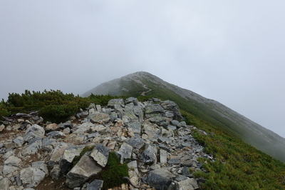 DSC00195.jpg