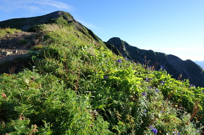 DSC00253.jpg