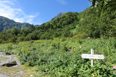 DSC00326.jpg