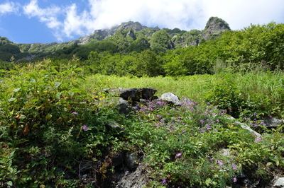 DSC00332.jpg