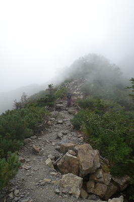 DSC00344.jpg