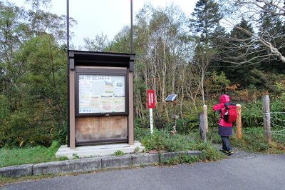 DSC00589.jpg