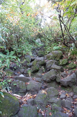 DSC00590.jpg