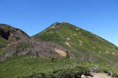 DSC00673.jpg