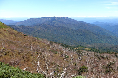 DSC00674.jpg