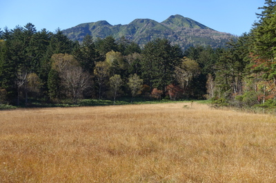 DSC00680.jpg