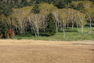 DSC00687.jpg