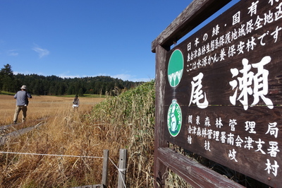 DSC00700.jpg